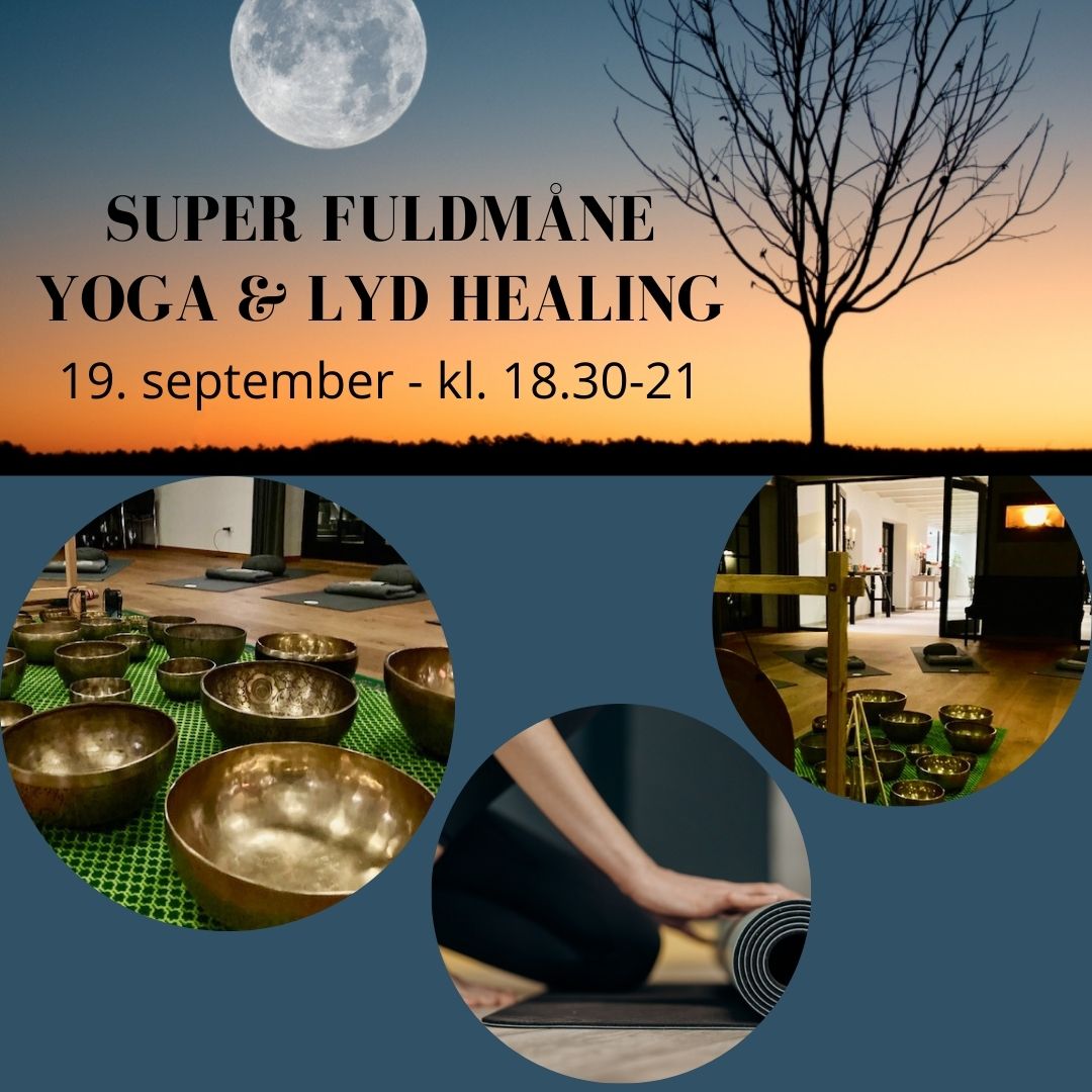 Klang og yogaevent i Fredensborg, sept. 2024